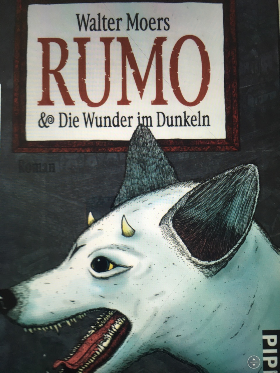 Rumo die Welt im Dunkeln