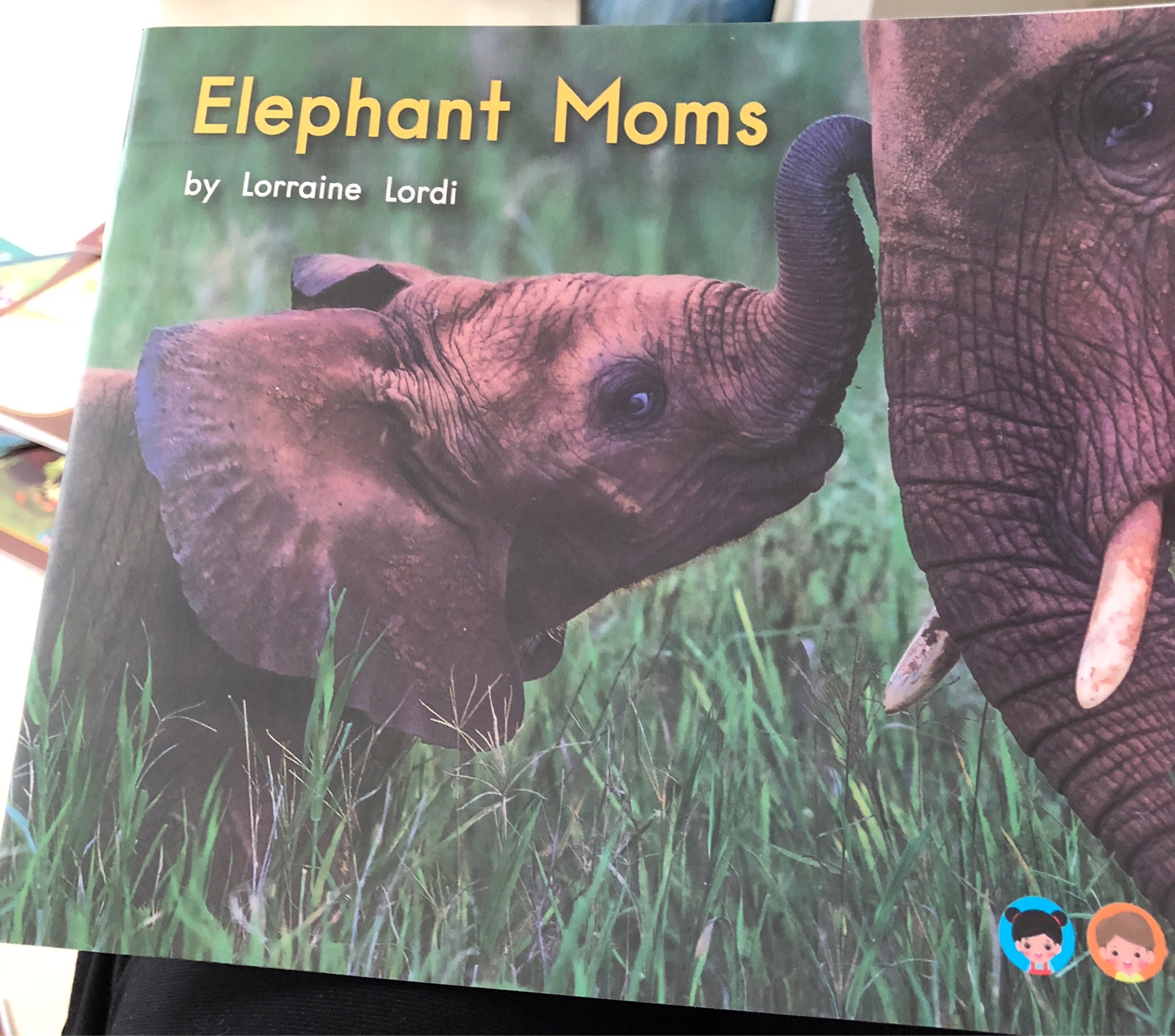 Elephant moms