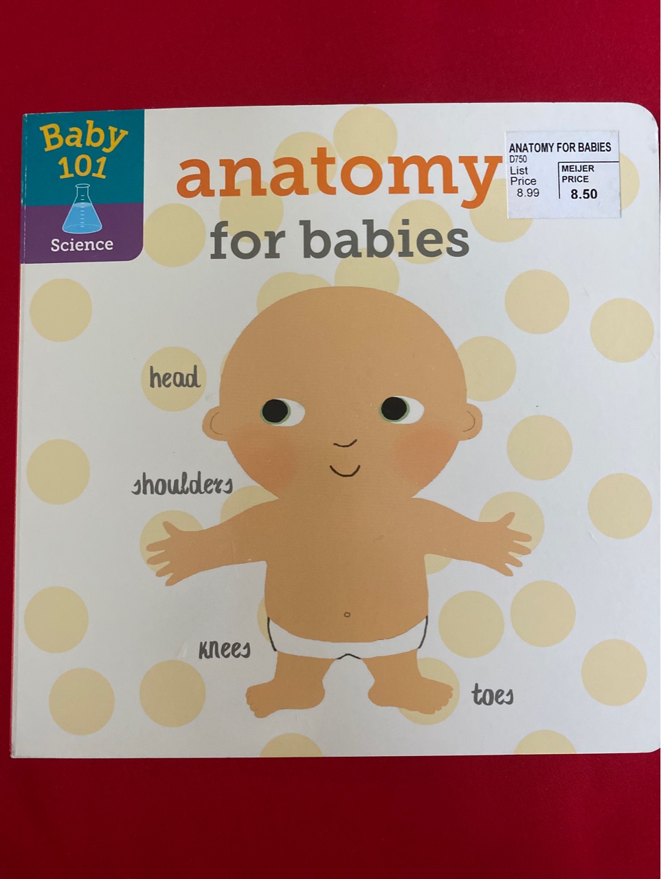 Anatomy for babies