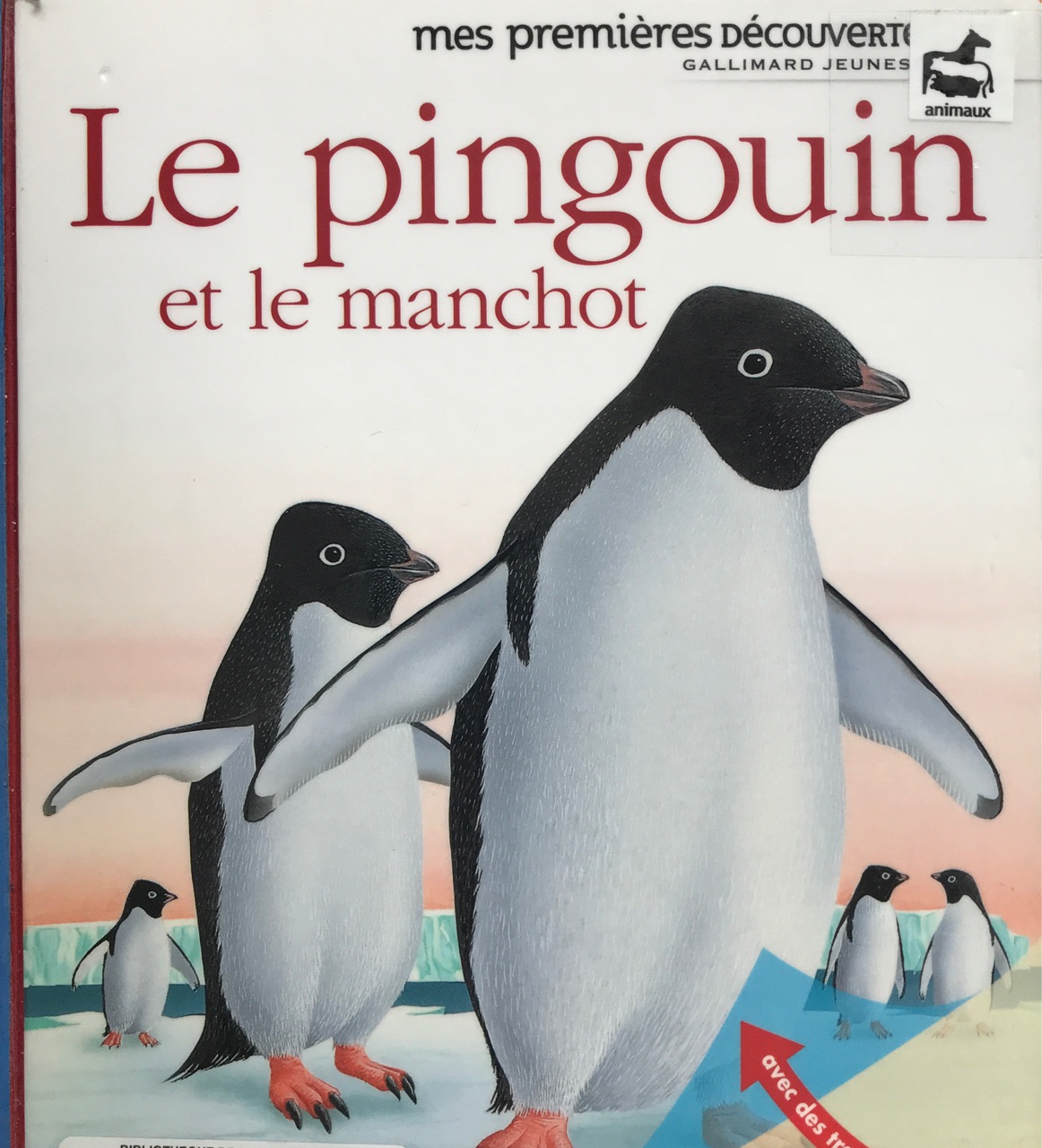 Le pingouin et le manchot