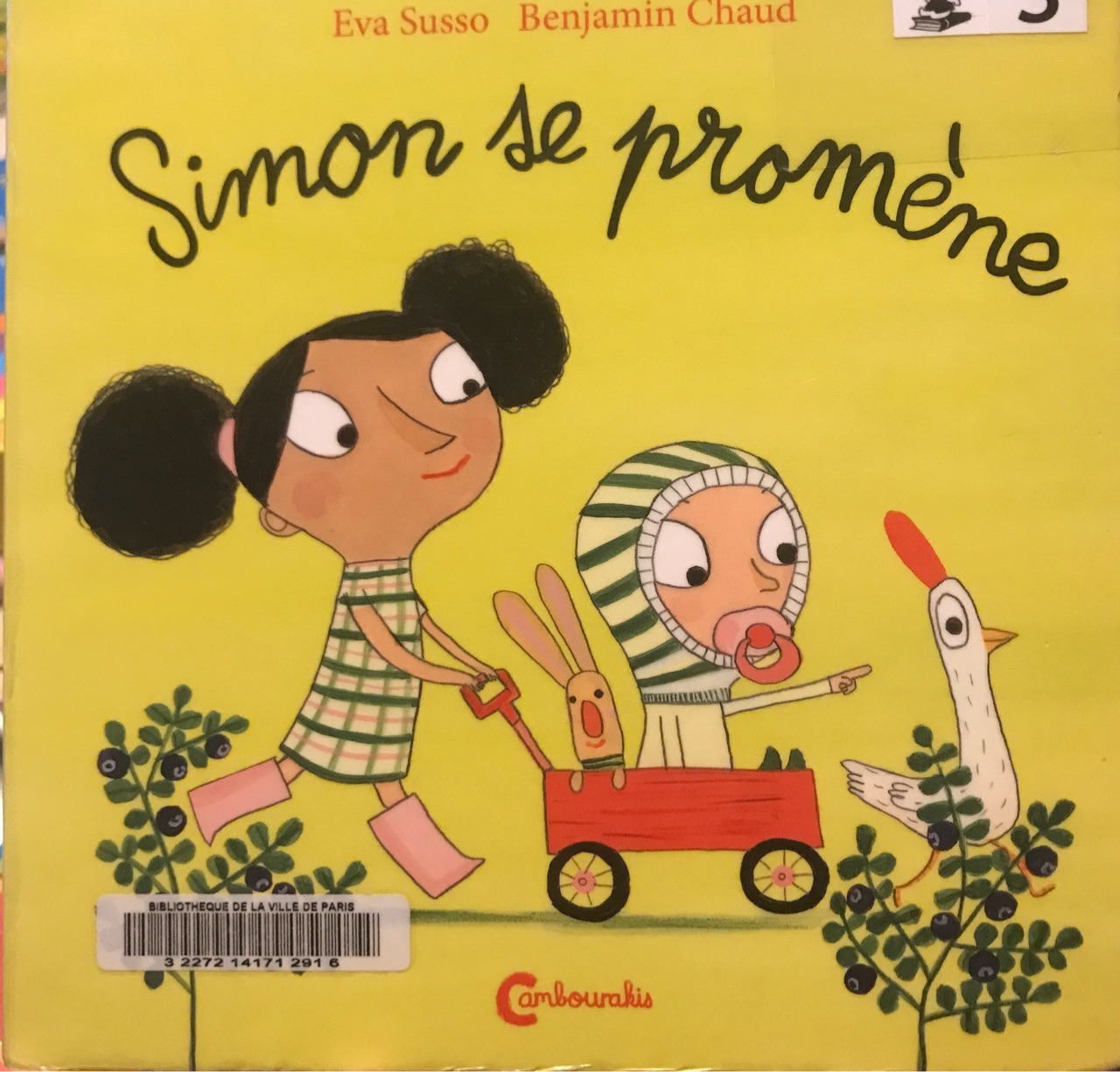 Simon se promène