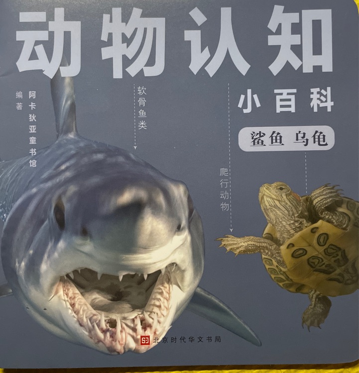 查看系列