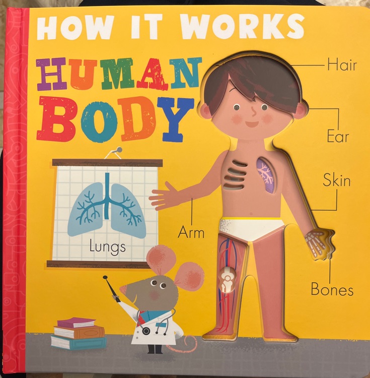 How it works human body