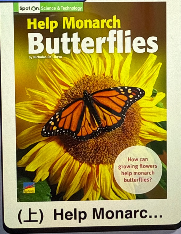 help monarch butterflies