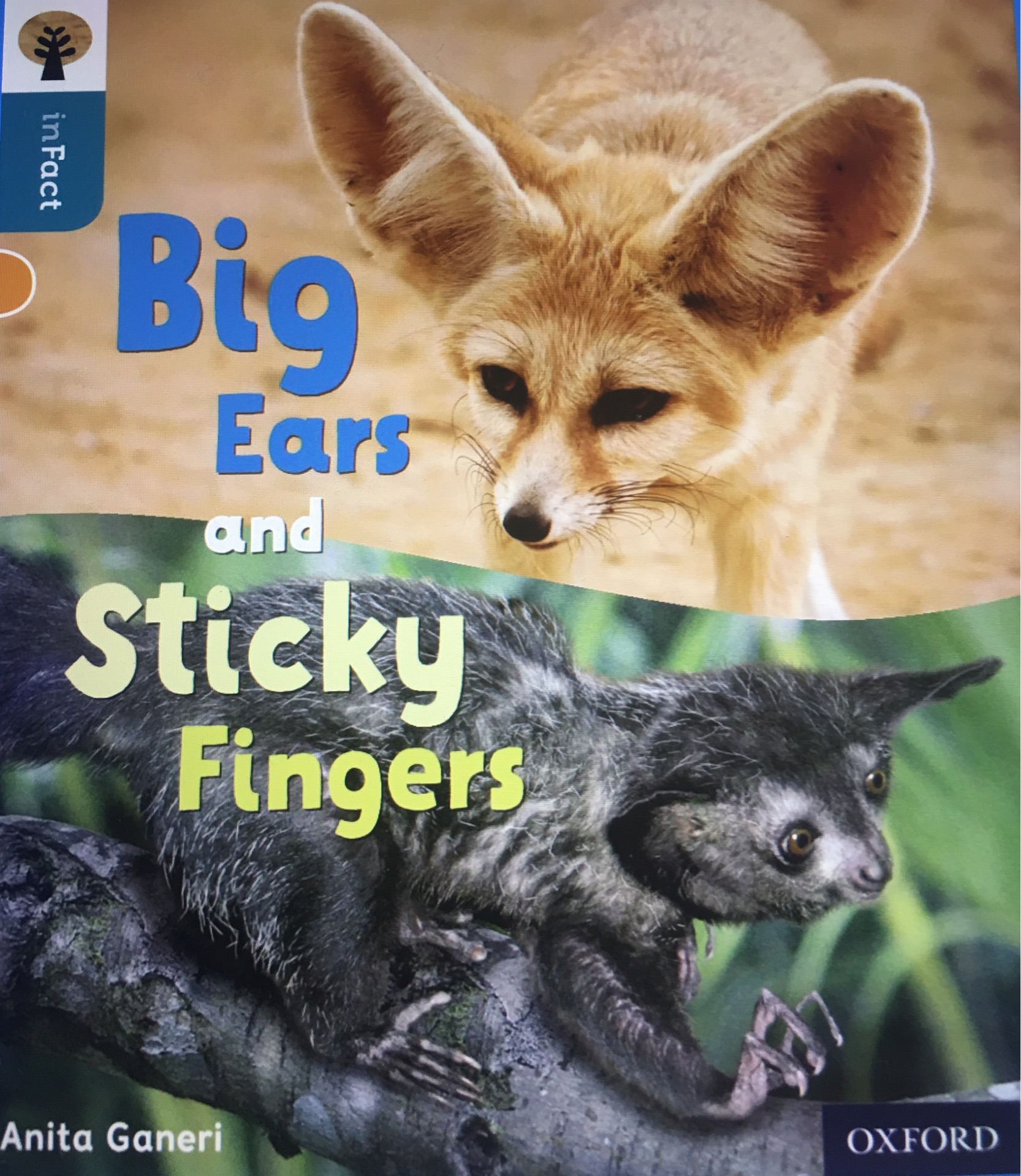 Big Ears and Sticky Fingers