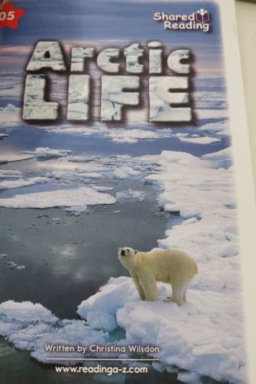 arctic life