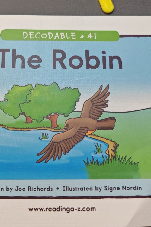 the robin