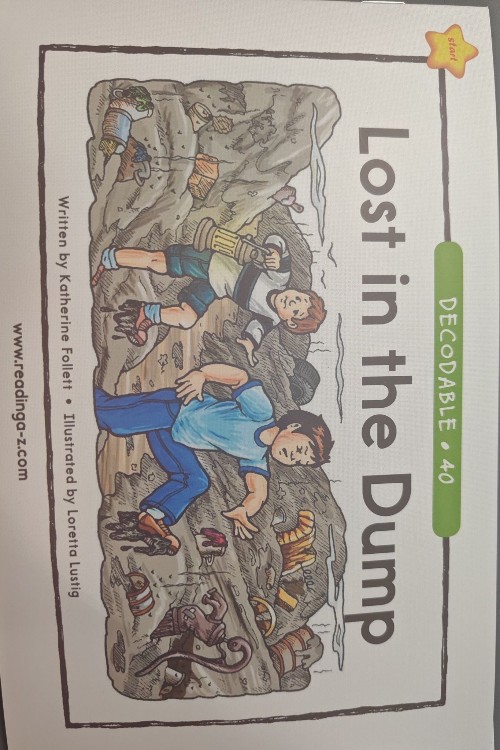 lost in the dump