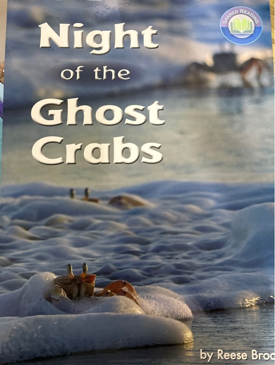 Night of the ghost crabs