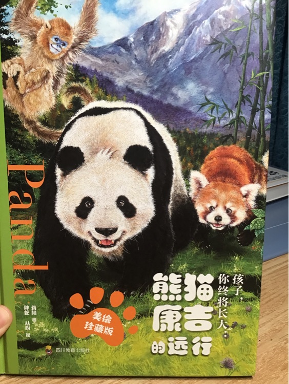 熊猫康吉的远行
