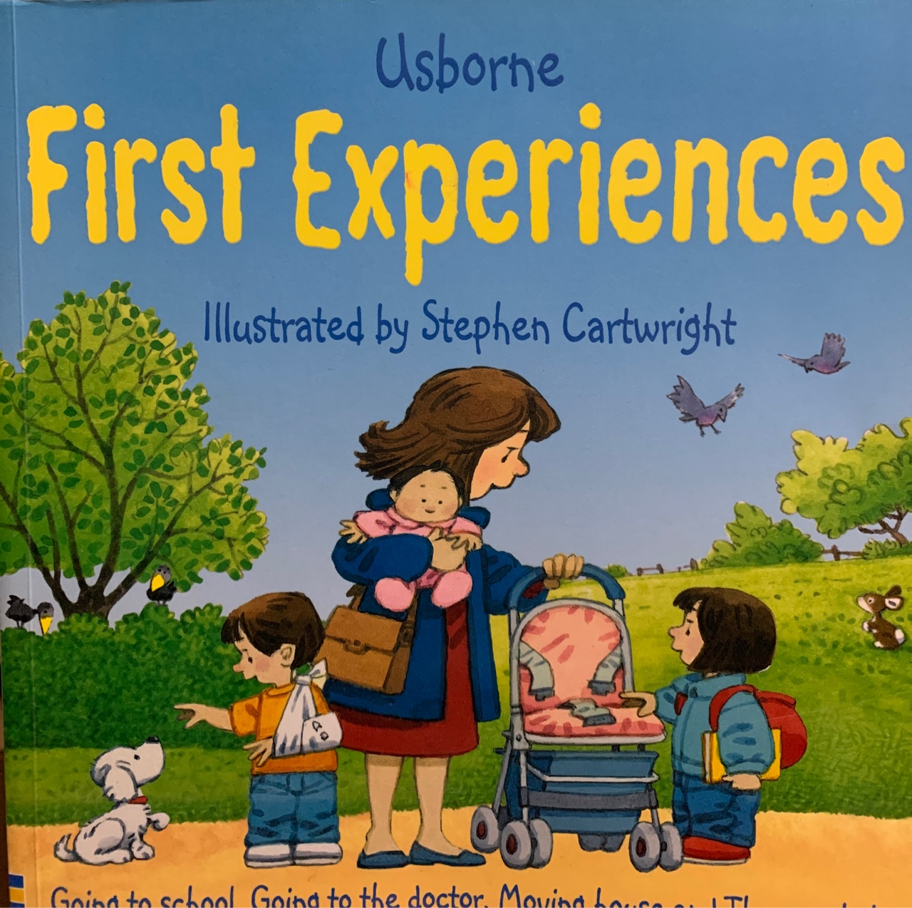 Usborne First Experiences, Collection (Usborne First Experiences)