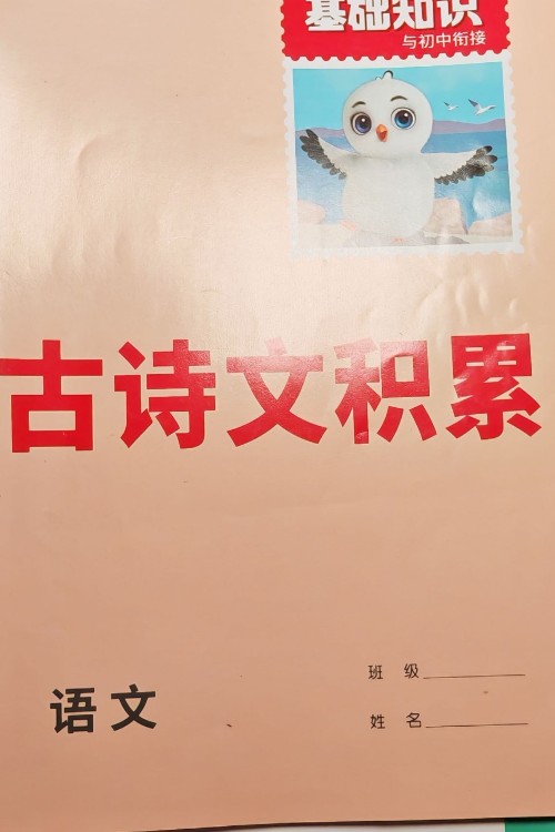 古詩(shī)文積累
