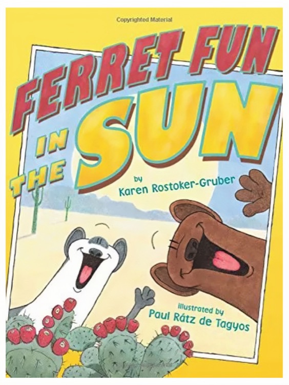 Ferret Fun in the Sun