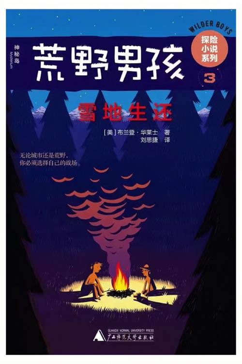 荒野男孩探險(xiǎn)小說系列3  雪地生還