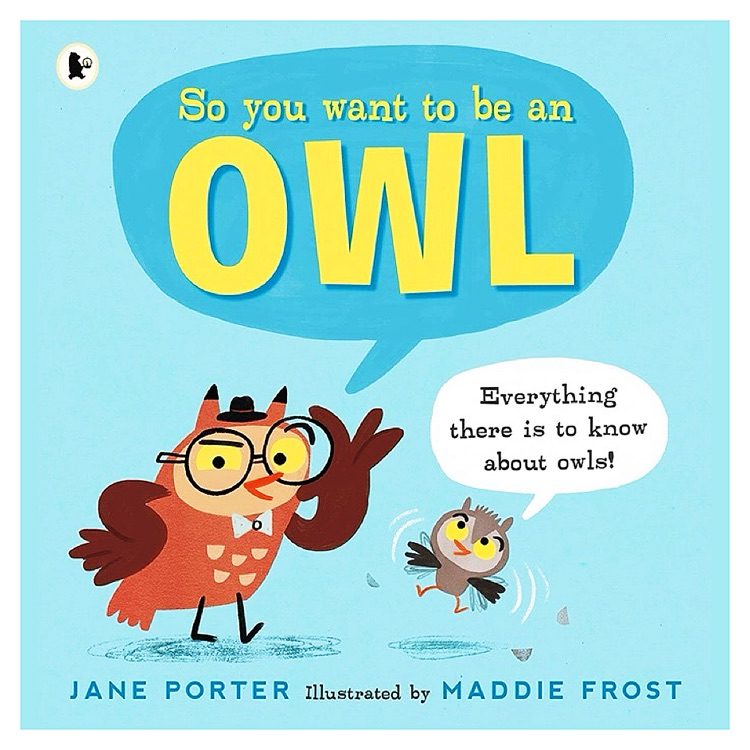 So You Want to Be an Owl