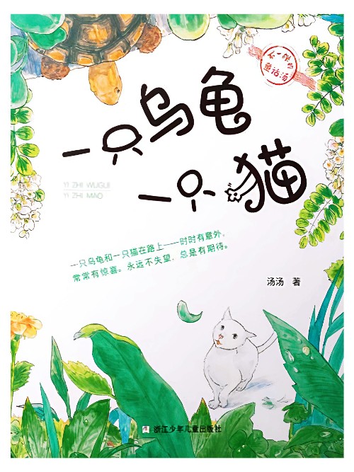 一只烏龜一只貓