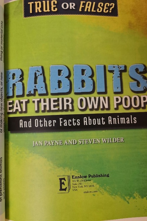 Rabbits Eat Their Own Poop