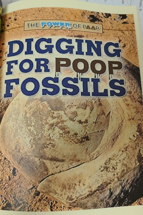 Digging For Poop Fossils