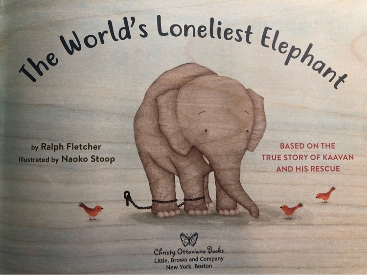 the world's loneliest elephant