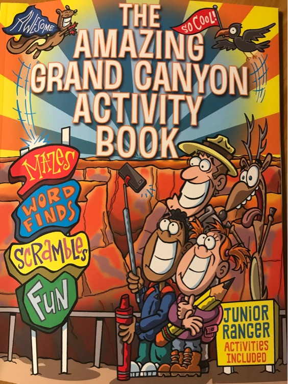 The amazing grand canyon activity book