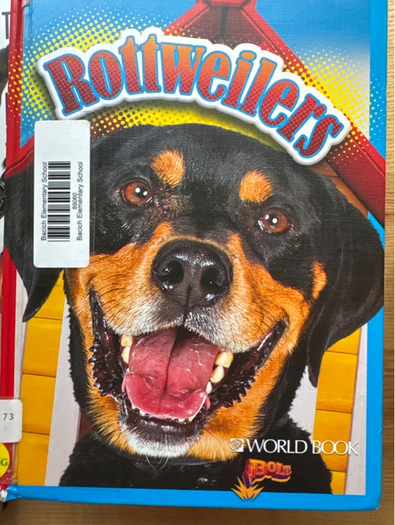 Rottweiler