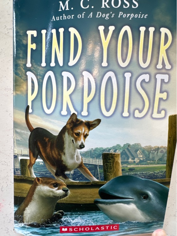 Find your porpoise