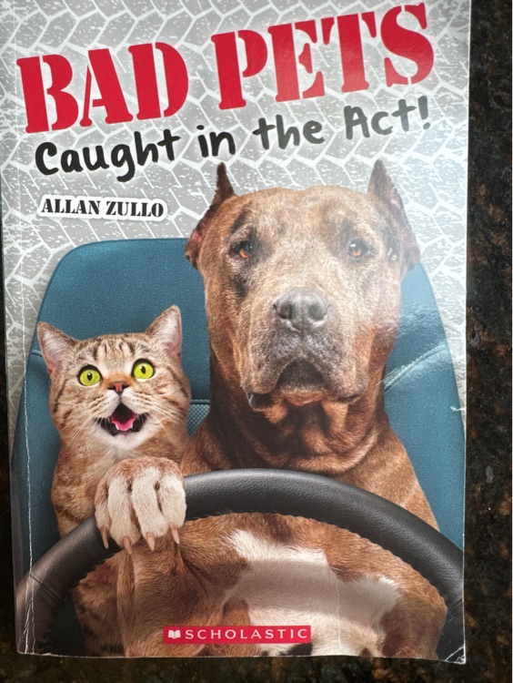 Bad pets caught in the act