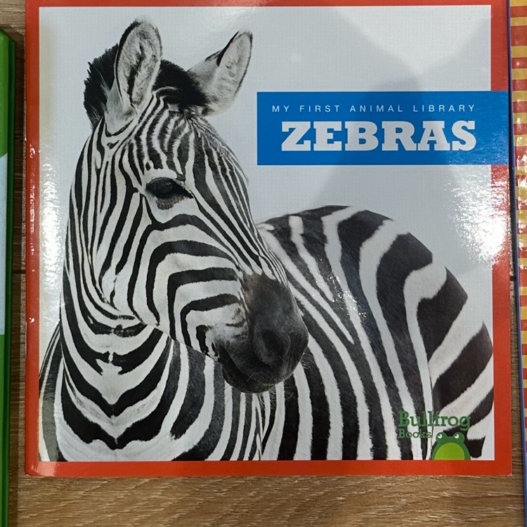 Zebras