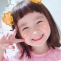 灵芝8026288245