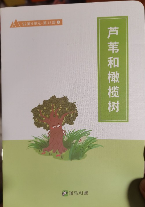 蘆葦和橄欖樹