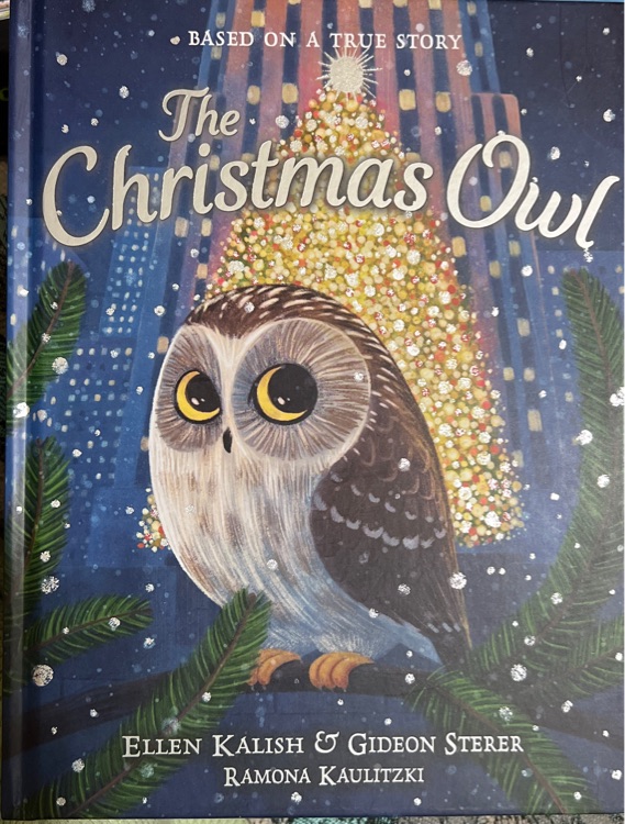 The Christmas Owl