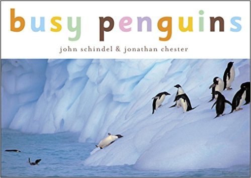 Busy Penguins (A Busy Book)