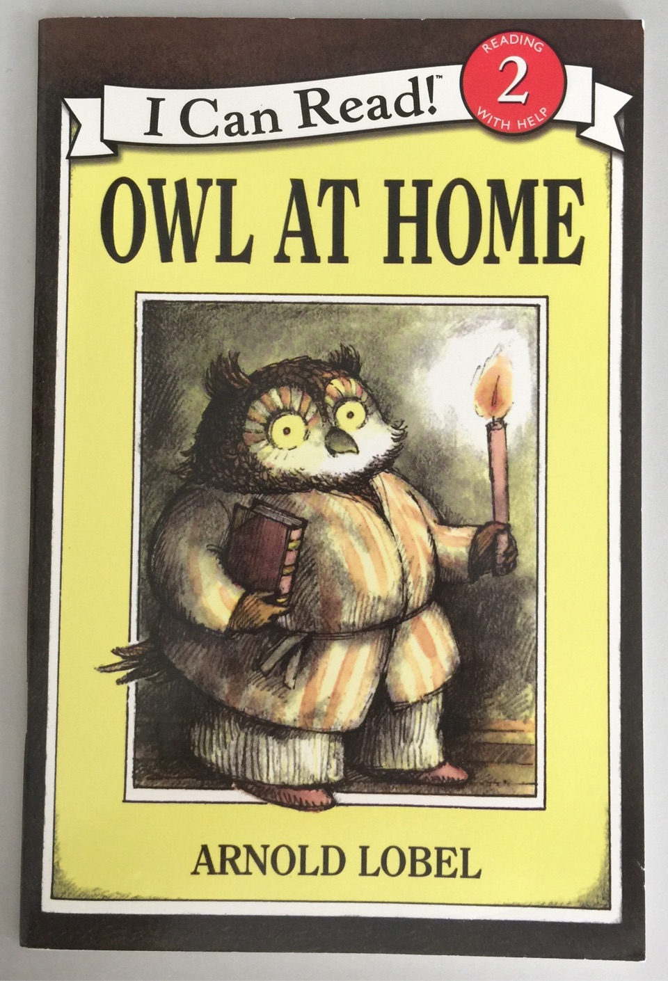 Owl At Home an I Can Read Book Reading 2 with Help