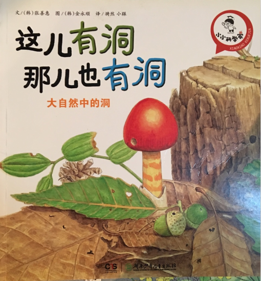 這兒有洞, 那兒也有洞