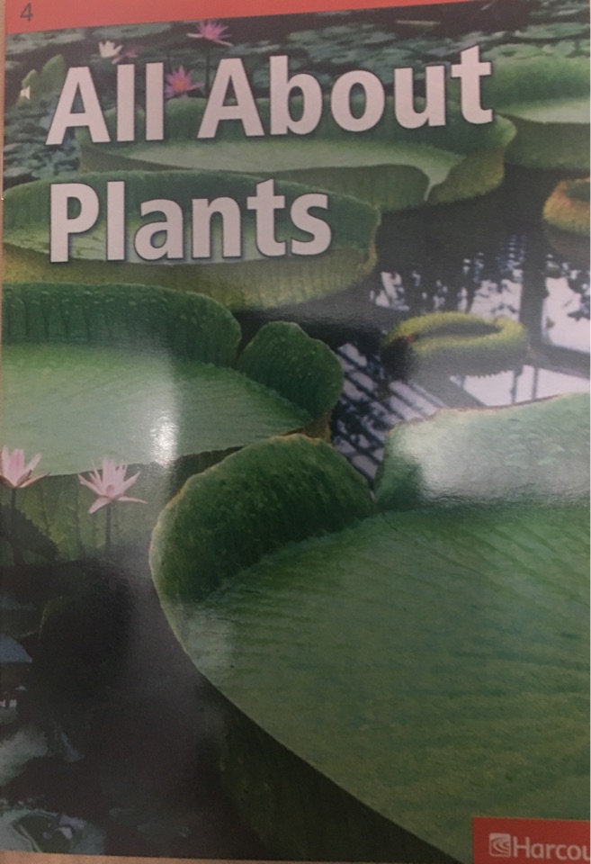 All About Plants