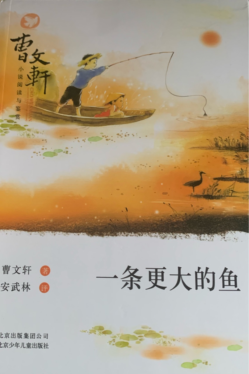 曹文軒小說閱讀與鑒賞?一條更大的魚