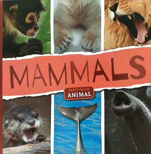 mammals