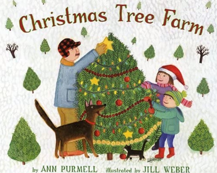 christmas tree farm