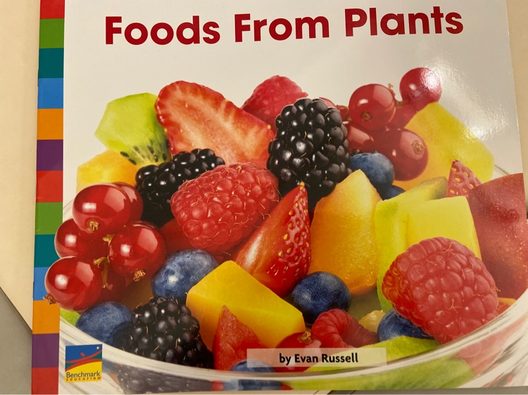 foods from plants