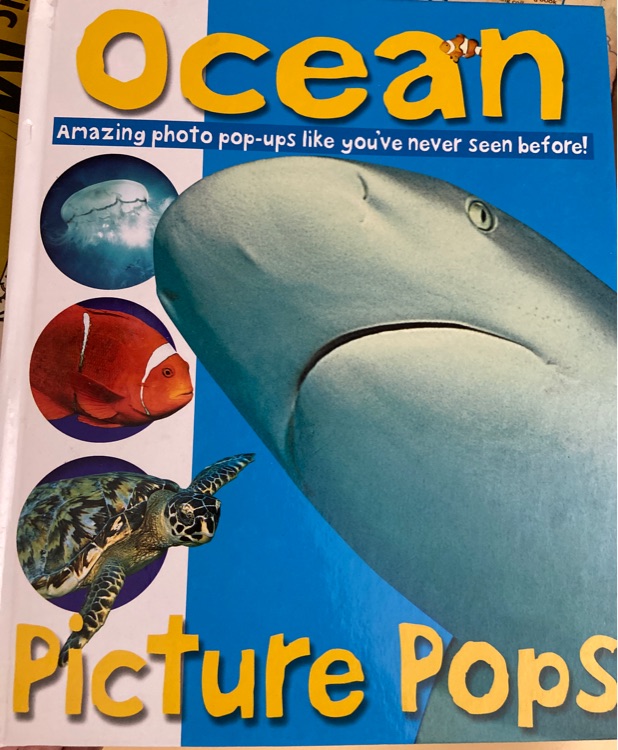 Ocean Picture Pops