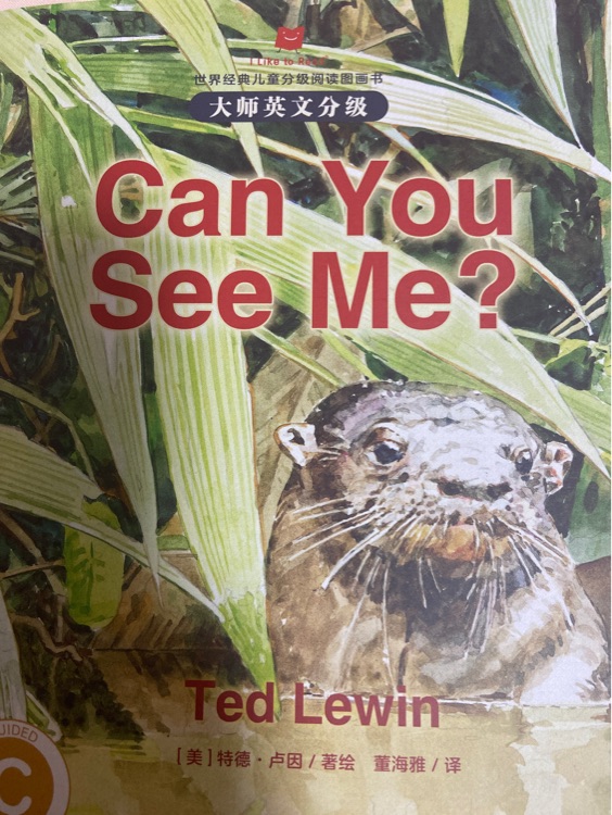 can you see me?