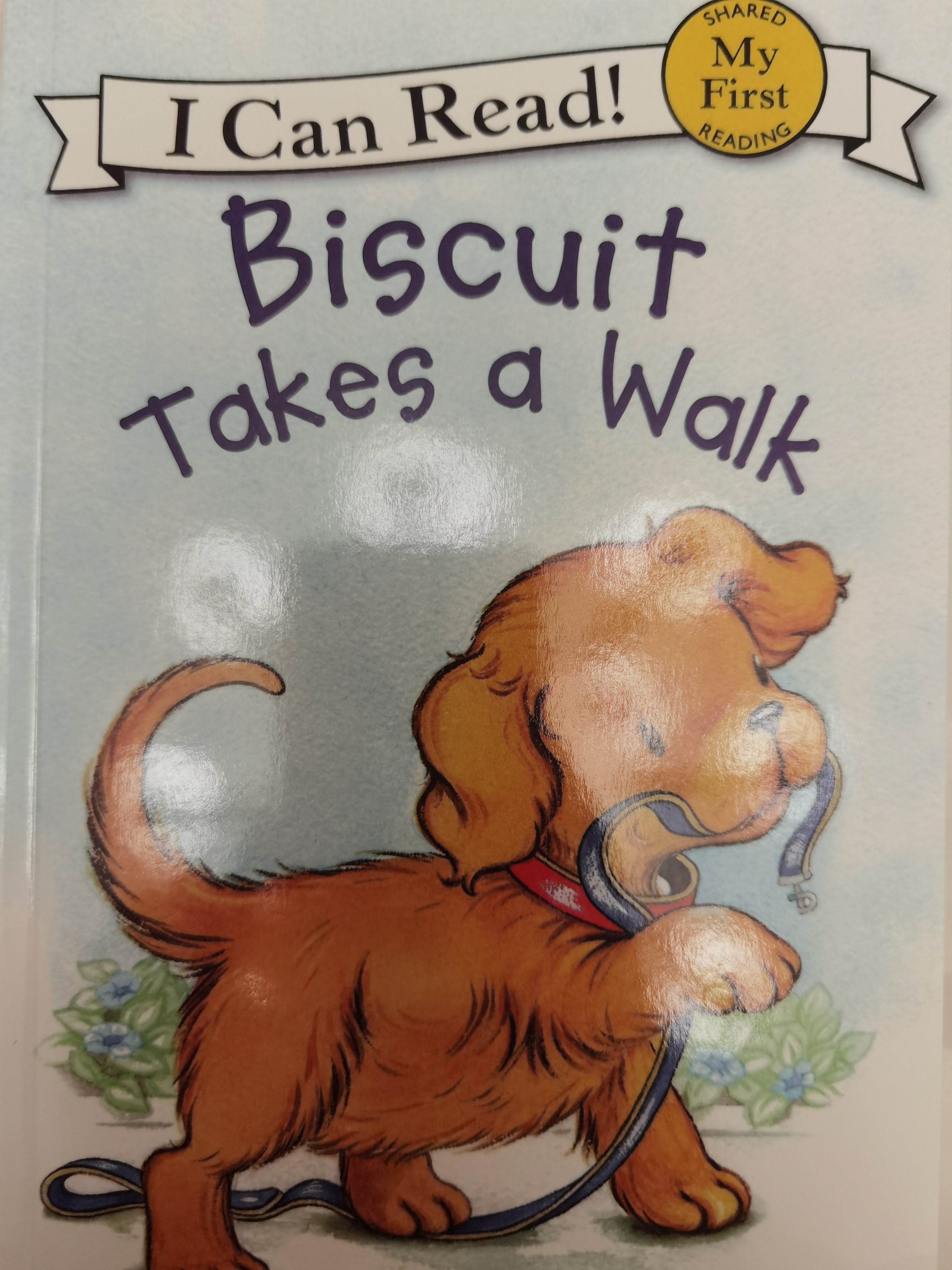 Biscuit takes a walk