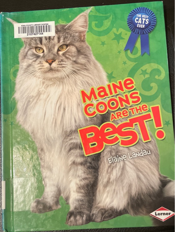 Maine Coons Are The Best!