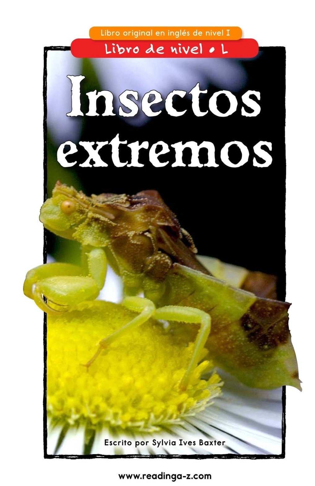 Insectos extremos