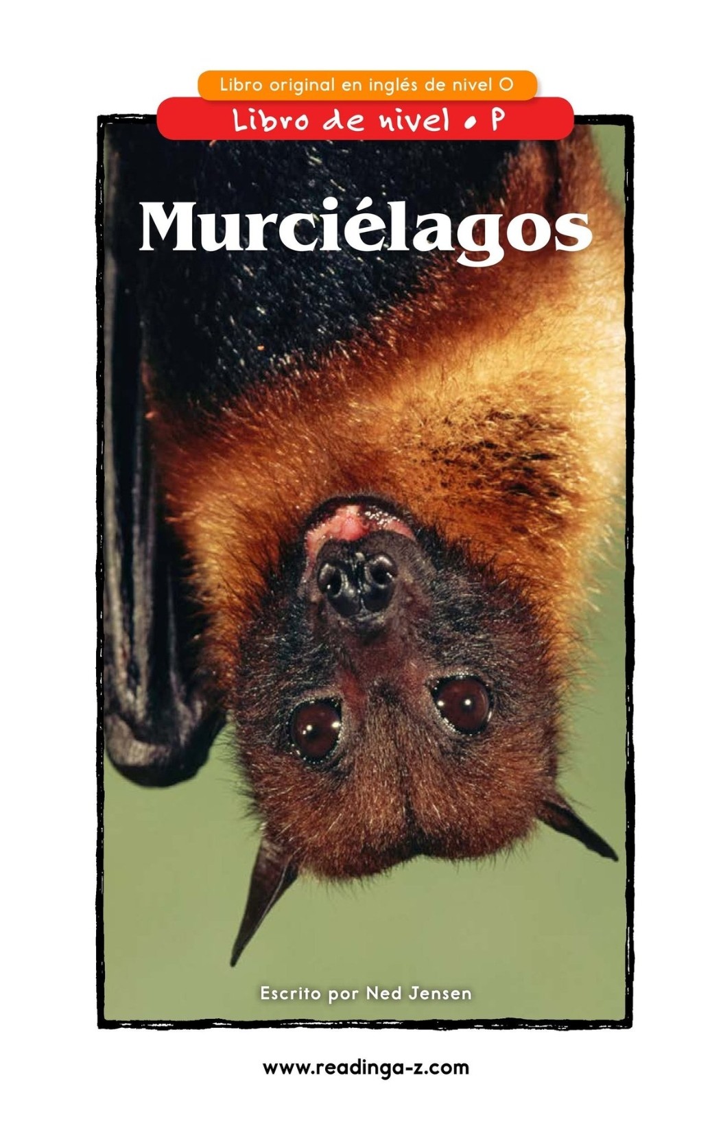 Murciélagos