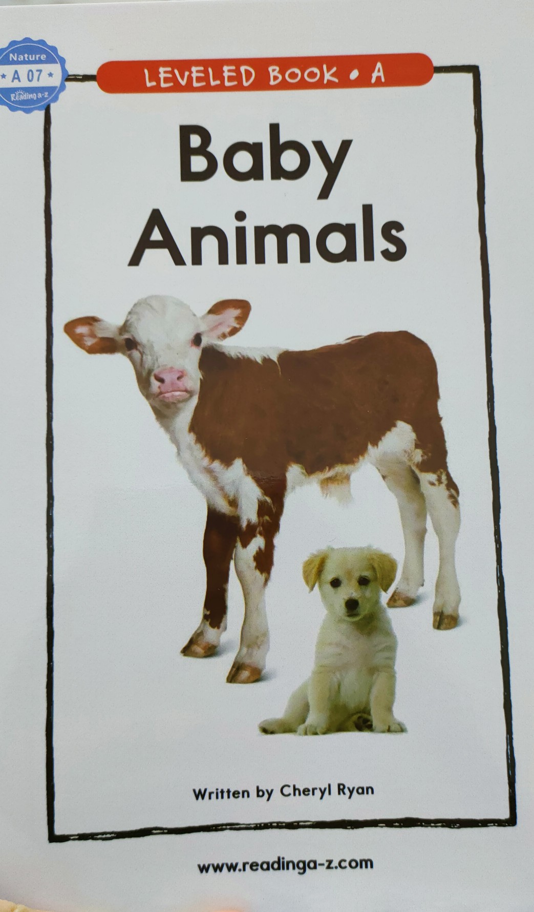 Baby animals