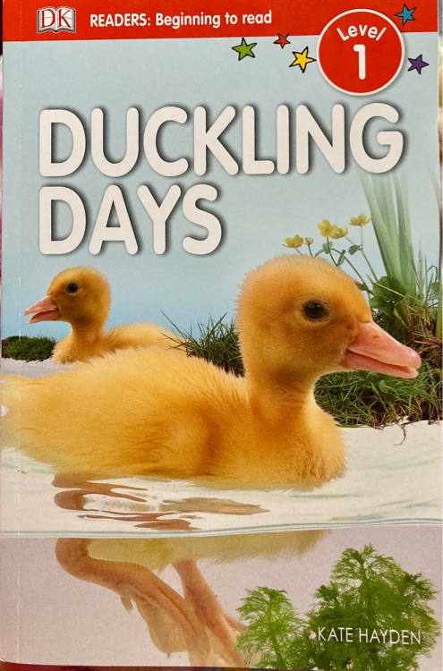 Duckling Days