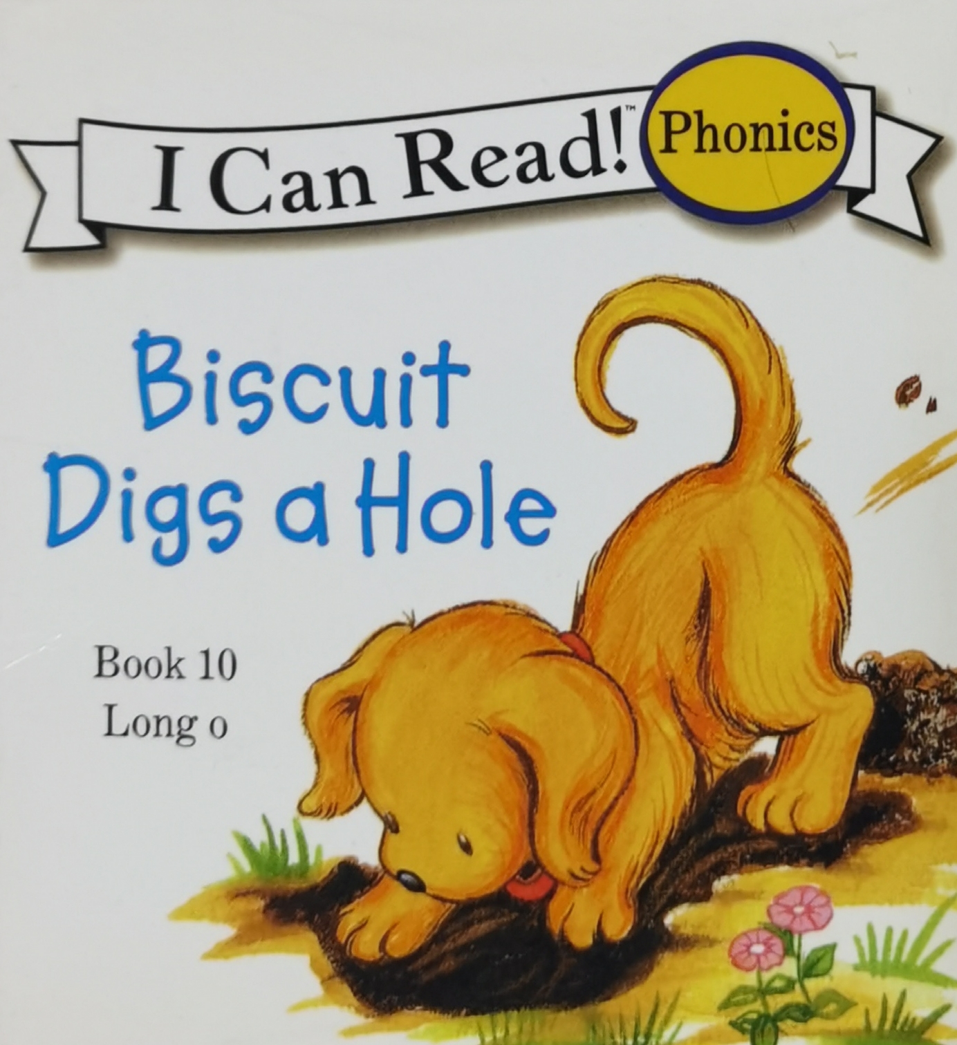 Biscuit digs a hole