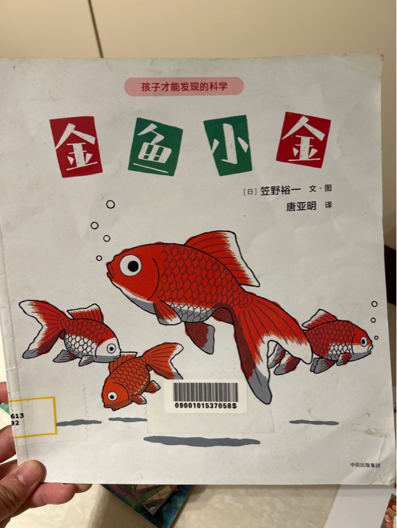 金魚小金