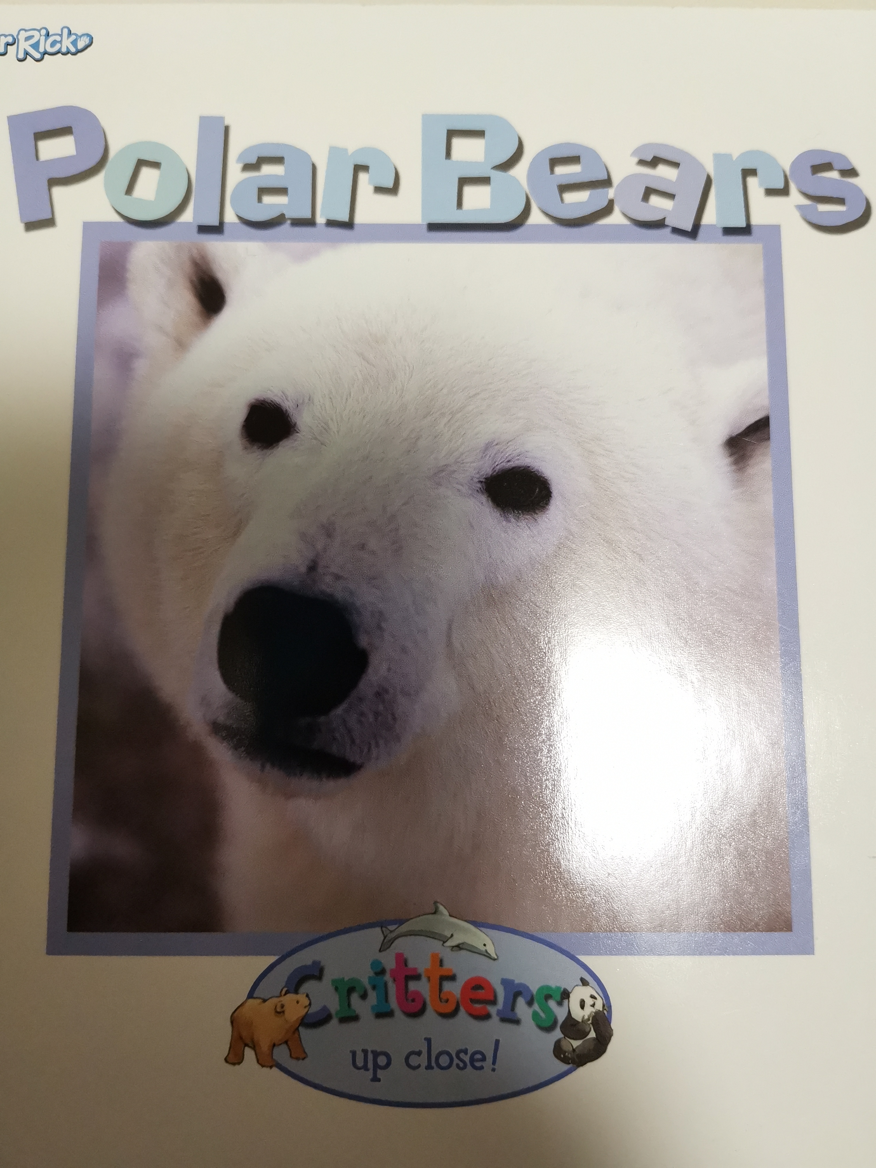 Polar Bears